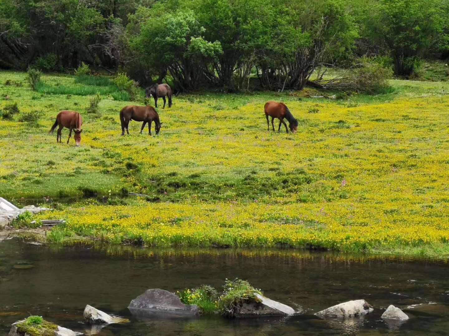 研學(xué)的重要意義，對(duì)研學(xué)的各項(xiàng)探索都怎么進(jìn)行的