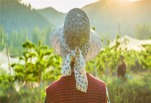 鄉(xiāng)村健康養(yǎng)生產(chǎn)業(yè)的客戶(hù)群體有哪些？它有什么開(kāi)發(fā)要點(diǎn)？