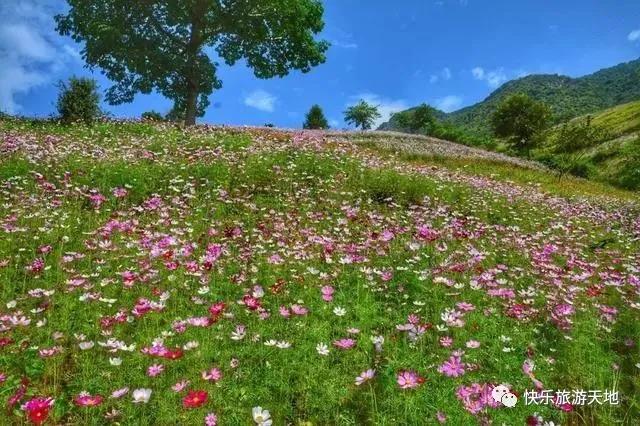 3月怒江美如畫！