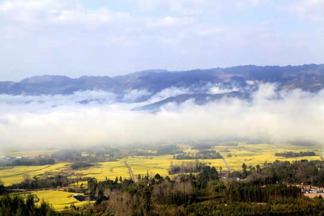 巍巍高黎貢：傳奇的世界物種基因庫(kù)，譜寫生命的長(zhǎng)歌