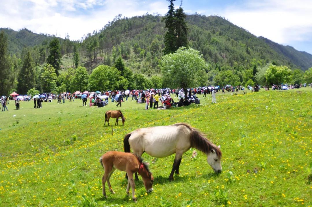 五一出游，蘭坪這些小眾景點(diǎn)一網(wǎng)打盡！