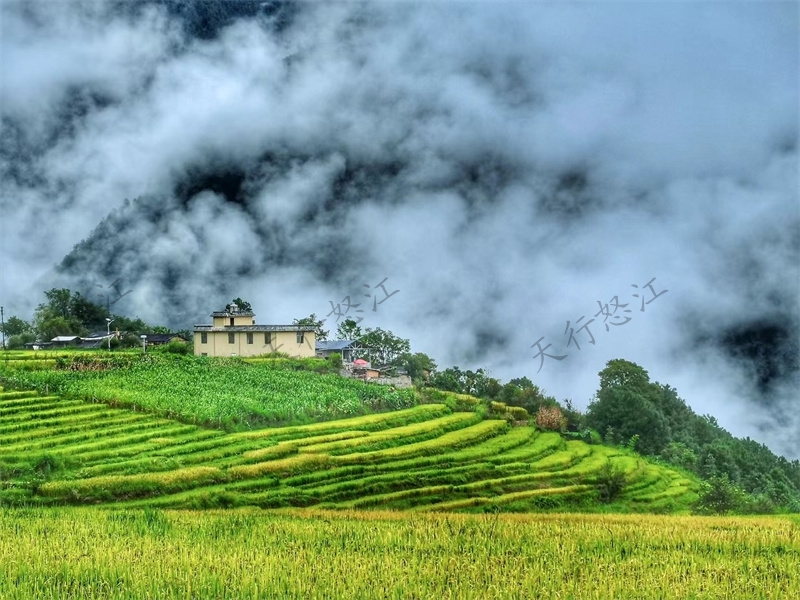 怒江旅游丙中洛,以?xún)?yōu)美的田園風(fēng)光和宗教賦予的山水神性而著稱(chēng),有人神共居的人間仙境之譽(yù)