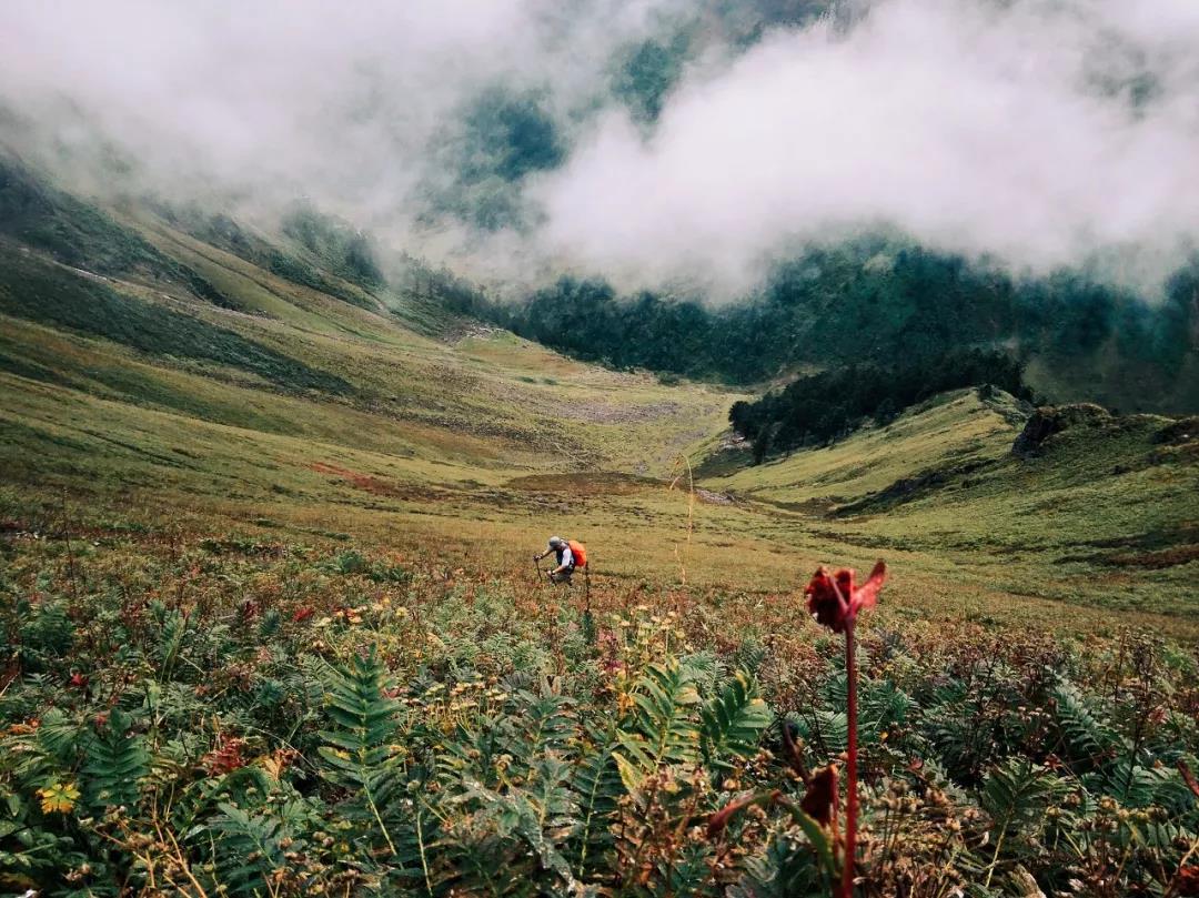 神秘的高黎貢山，徒步者的天堂   怒江傳媒公司