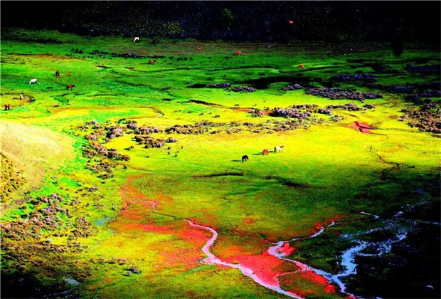 怒江旅行社：深秋童話，怒江講給你聽！