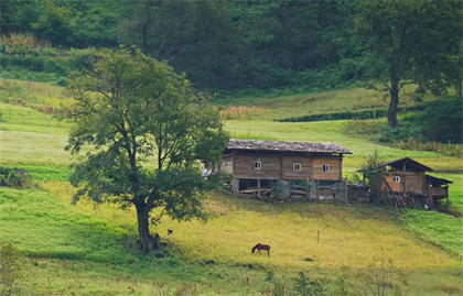 走近丙中洛，探訪(fǎng)隱世秘境，深入世外桃源